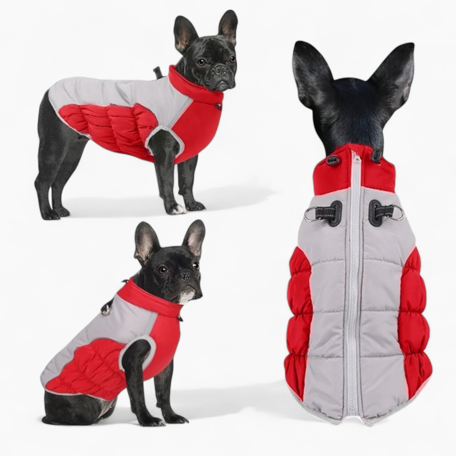 Daily-Walk Furglow Frenchie Reflective Jacket – Zipper Winter Warm Fl...