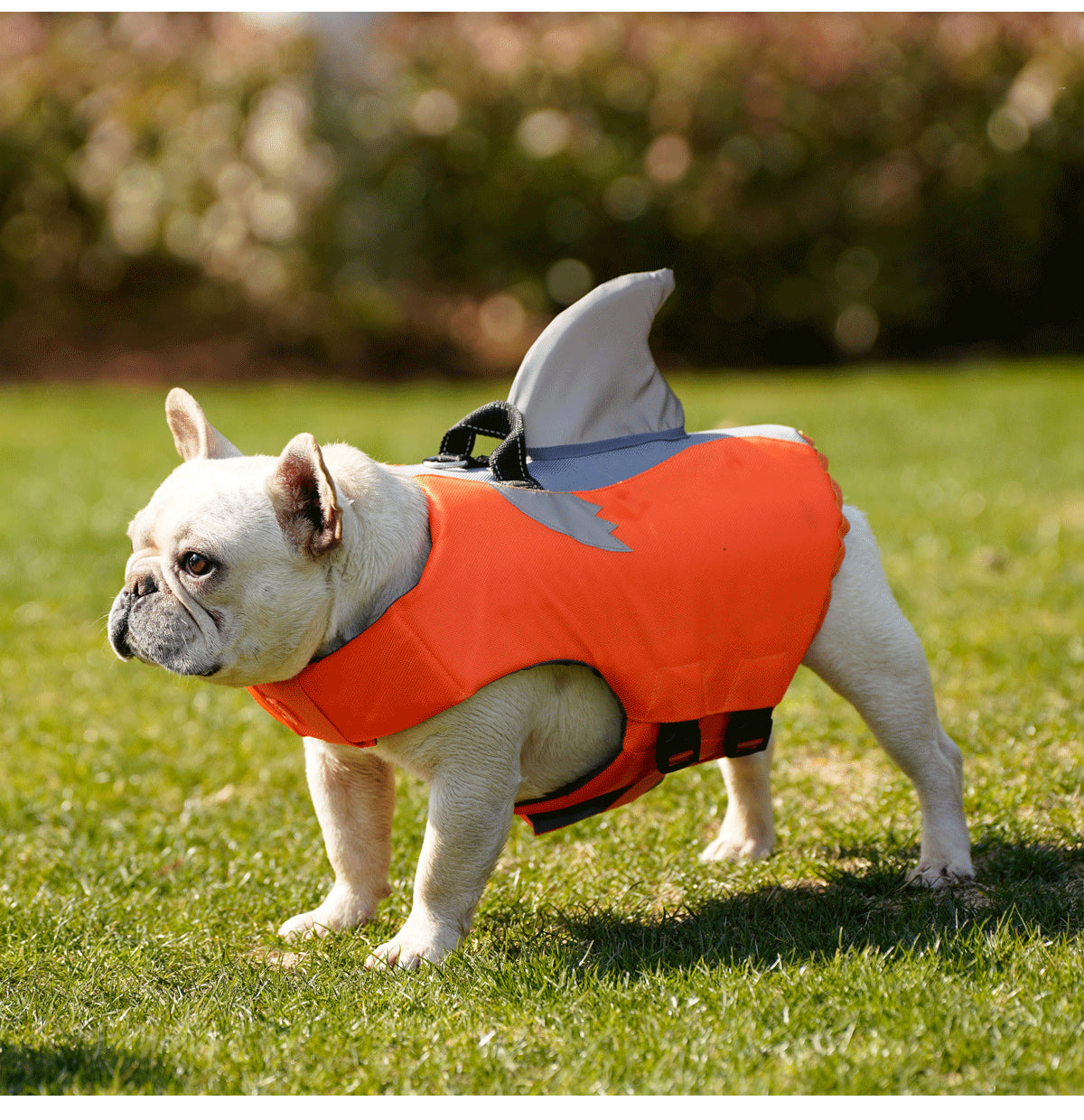 French Bulldog Frenchie Shark Life Vest Summer Reflective Swimwear Durable Dog Item