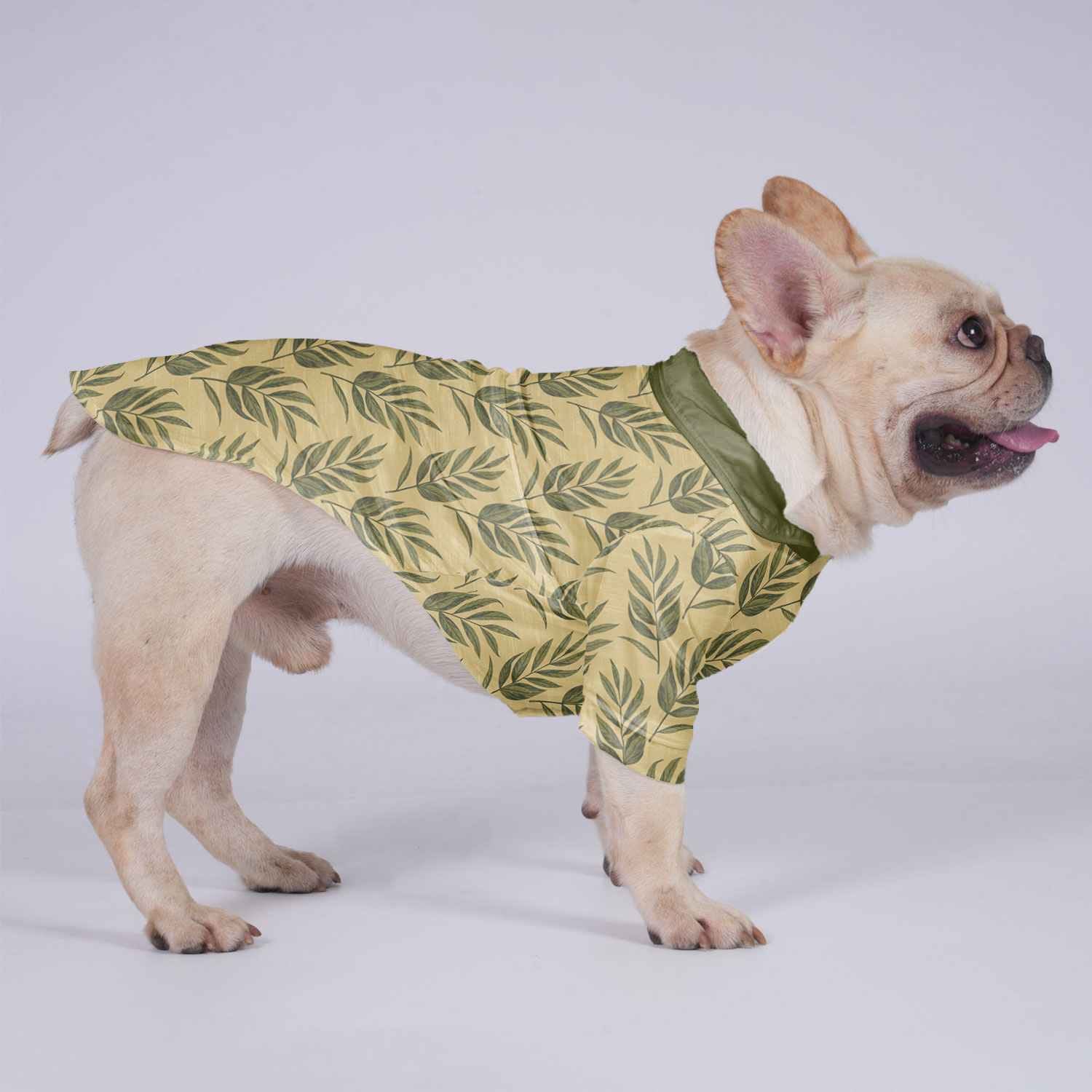 Fashion-Forward Oliver - Hawaiian Shirt For Frenchies for Everyday Wear