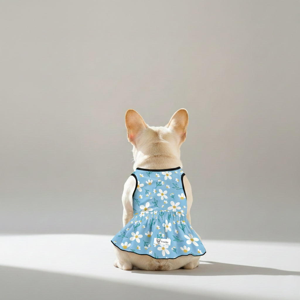 Kennedy - Vet-recommended French Bulldog Dresses For Females Pet Gear