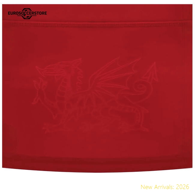 2024-2025 Wales Home Replica Womens Shirt For Match Day