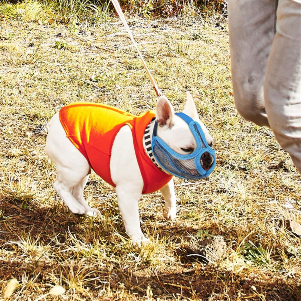 French Bulldog Revolutionary Frenchie Muzzle Effective Anti Bite