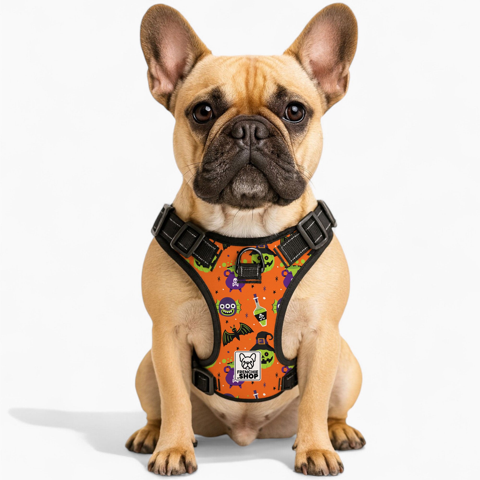 Frank - Bulldog No-pull French Bulldog Dog Harness Summer Wear