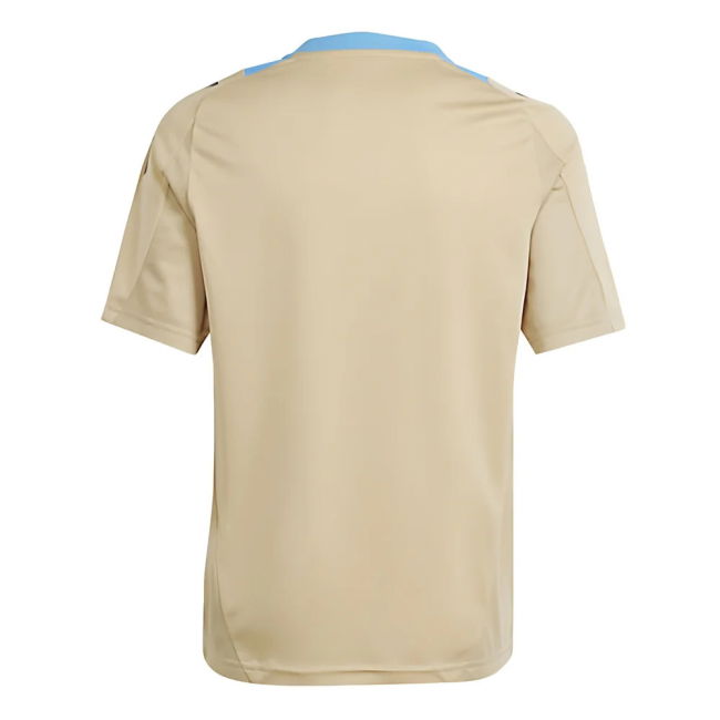 2024-2025 Argentina Training Jersey (Hazy Beige) - Kids (Your Name)