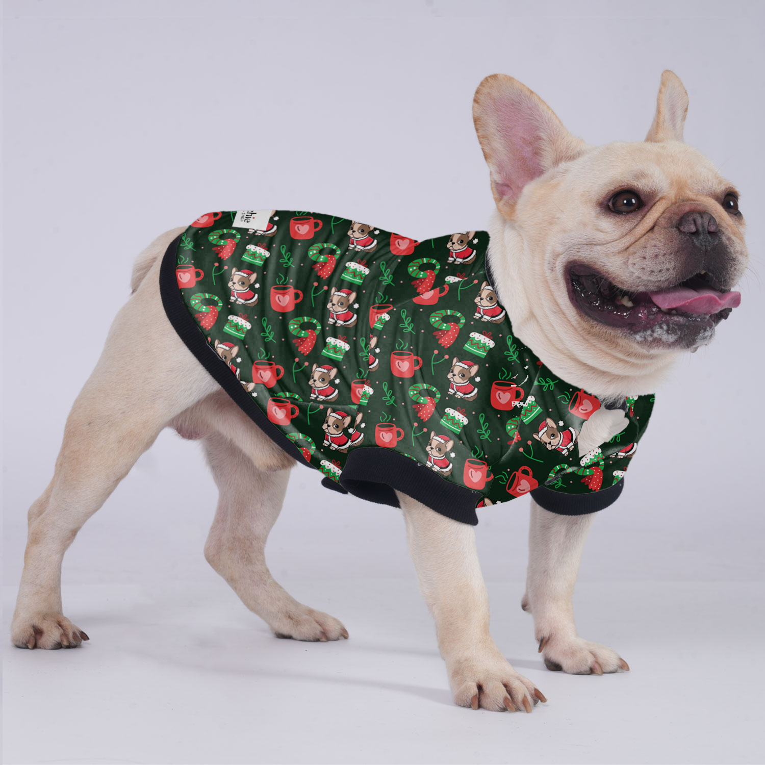 Cutie - Safe Jacket For French Bulldog Pet Gear | Breed-optimized