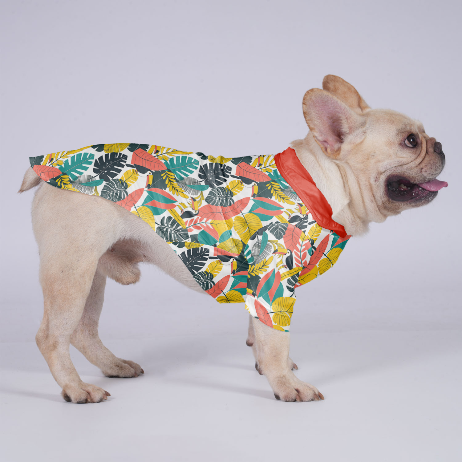 Culture-Inspired Koda - Hawaiian Shirt For Frenchies for Daily Life
