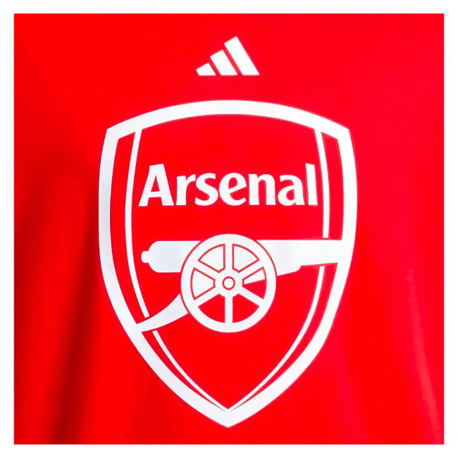 Arsenal 2024-20 Home Soccer Kit Cazorla Printing L S