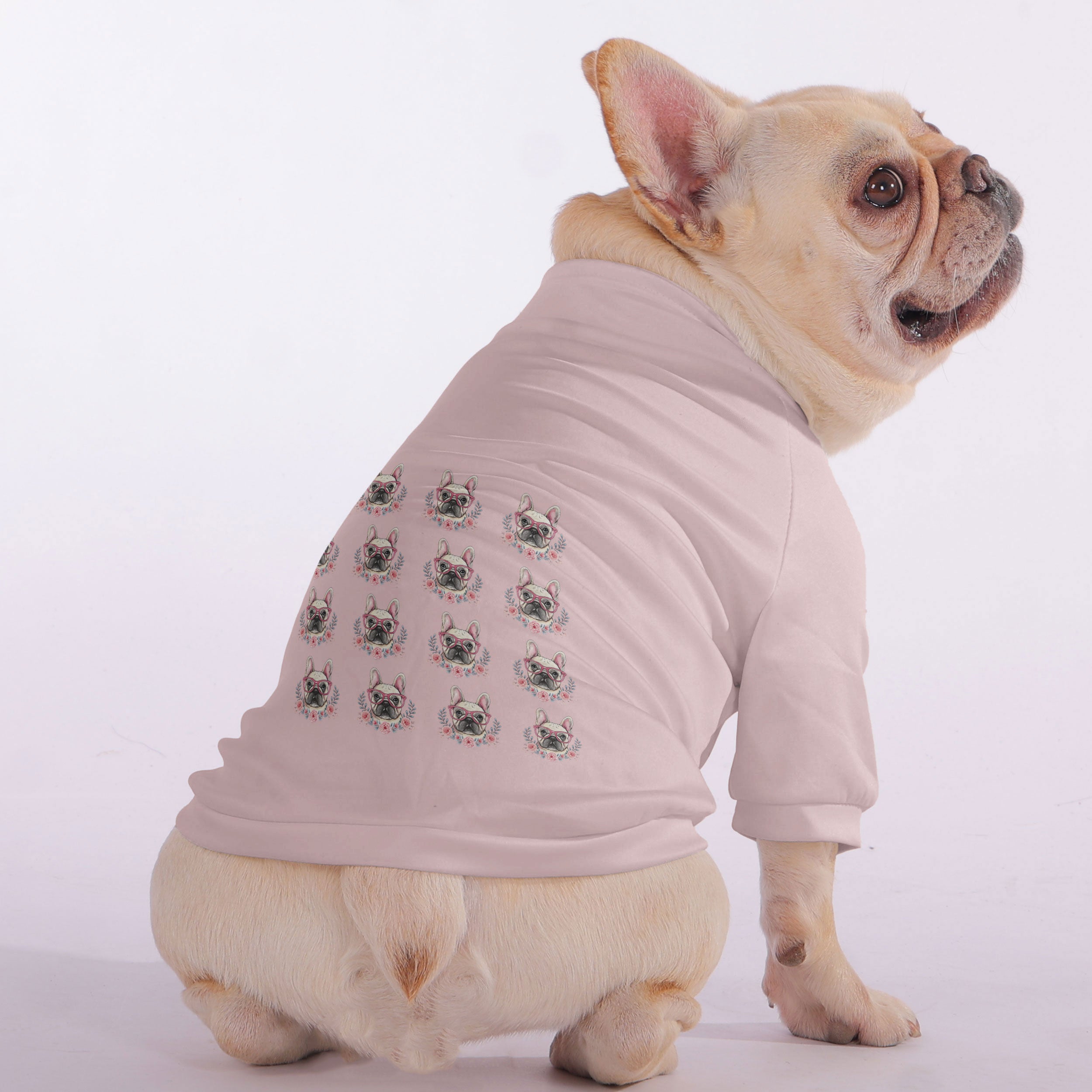 Minimal-Aesthetic Estelle - Snuggly Zip-up Sweatshirt For French Bull...