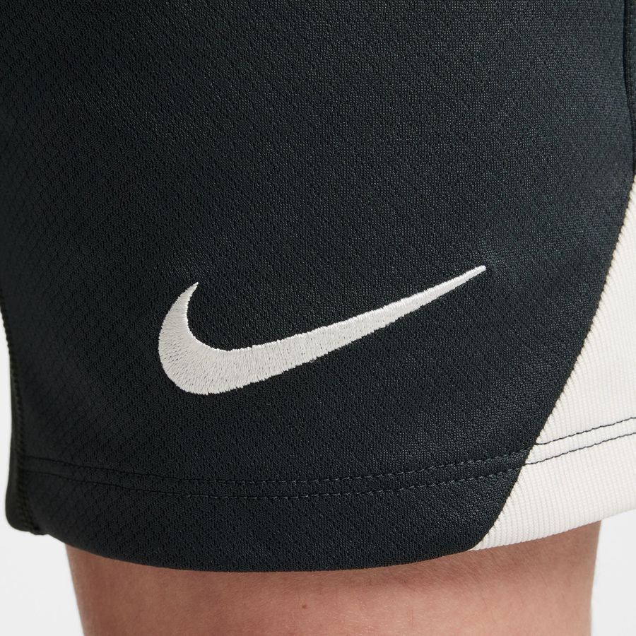 Chelsea Training Shorts Dri Fit Strike Outdoor Green/outdoor Green/pha