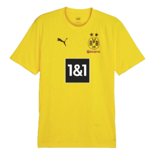Adult Borussia Dortmund Jersey 2024-2025 #42