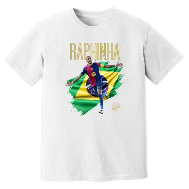 Top Grade 2025-2026 Barcelona Football Shirt With Modern Design
