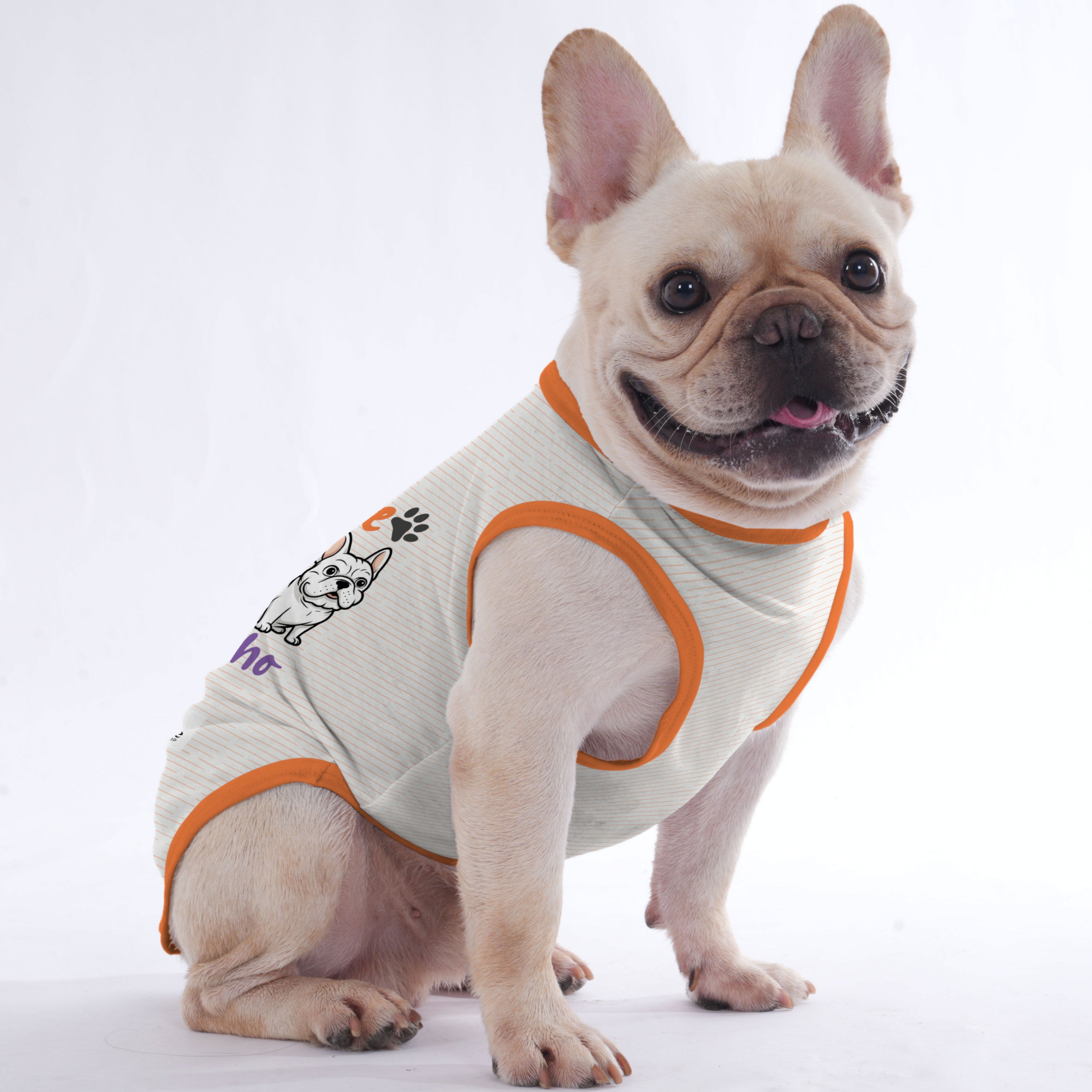 - Trendy Shirt For Frenchies - Frenchie Shop Original Indoor Comfort