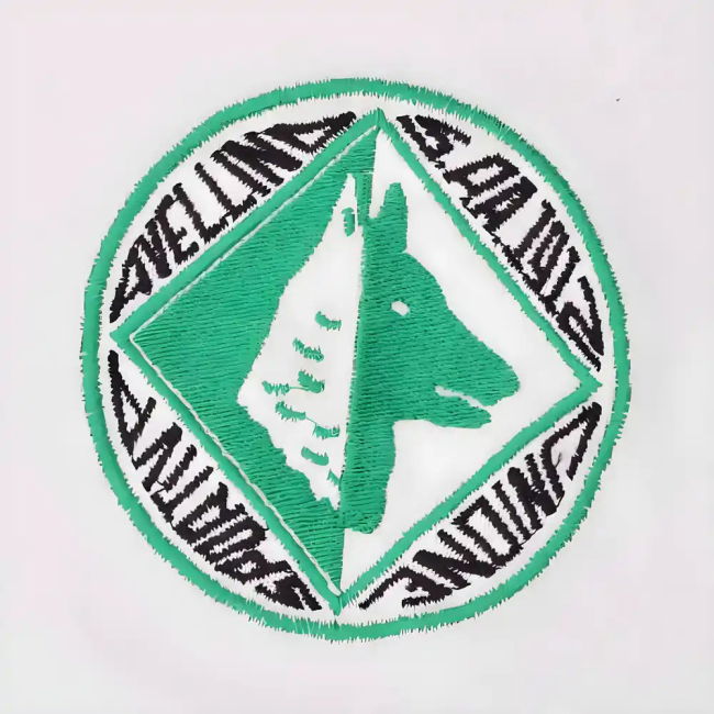 Avellino 1950s Retro Football Shirt