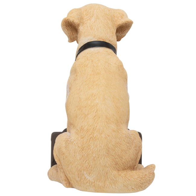 Newcastle United FC Labrador Gnome | Player Issue | Modern Fit