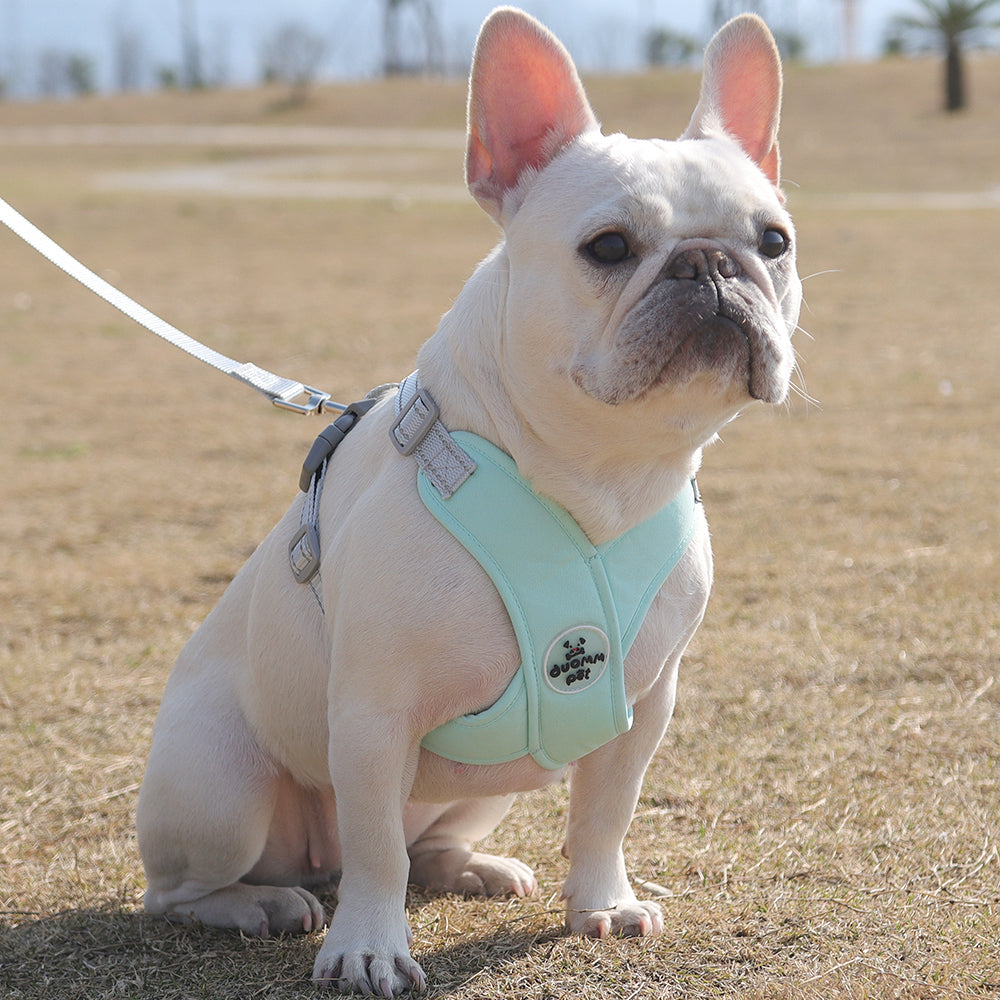 Refleciere Frenchie Breathable Harness Leash Set