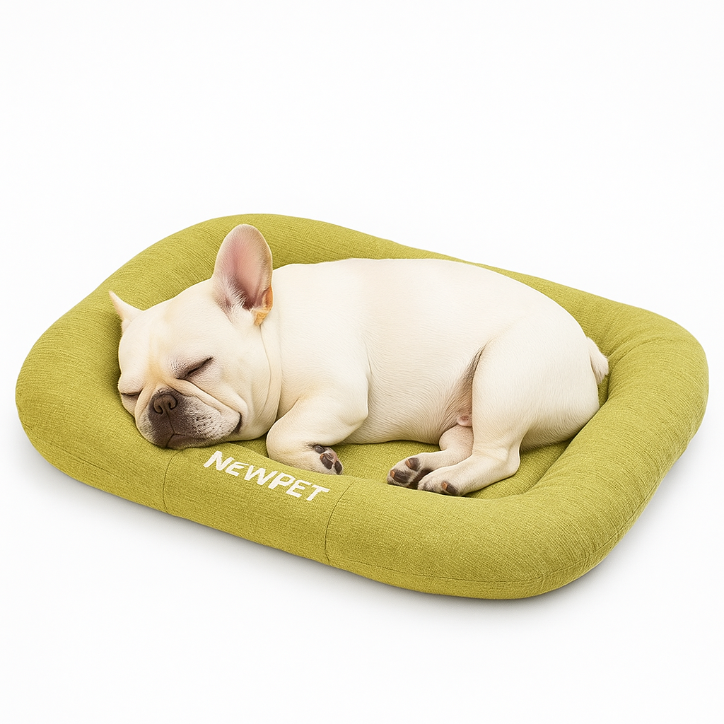 Comfuria Cozy French Bulldog Bed Pad – Rectangular Shape for Ultimate Comfort