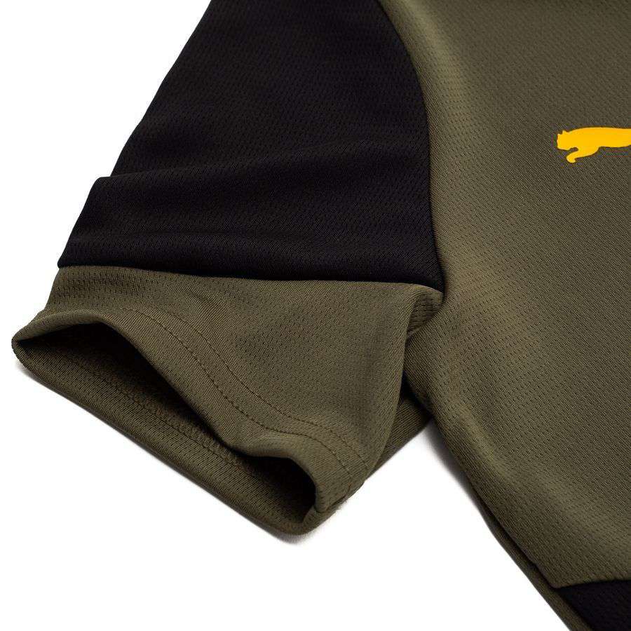 Dortmund Training T-Shirt - Loden Green/PUMA Black Kids