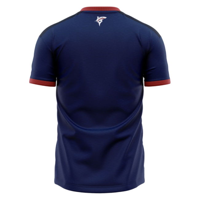 Performance-Driven 2023-2024 Cape Verde Home Shirt - Kids
