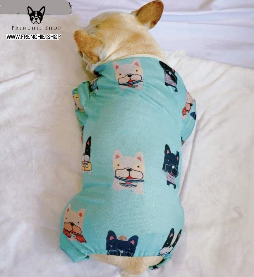 Casual Outfit Frenchie Summer Dress (W323)