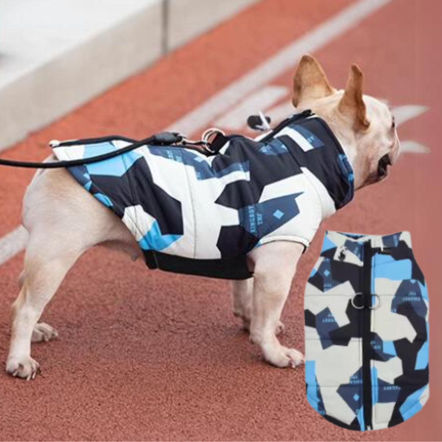 Premium Street-Ready Puptrend Premium Frenchie Jacket for Street Style