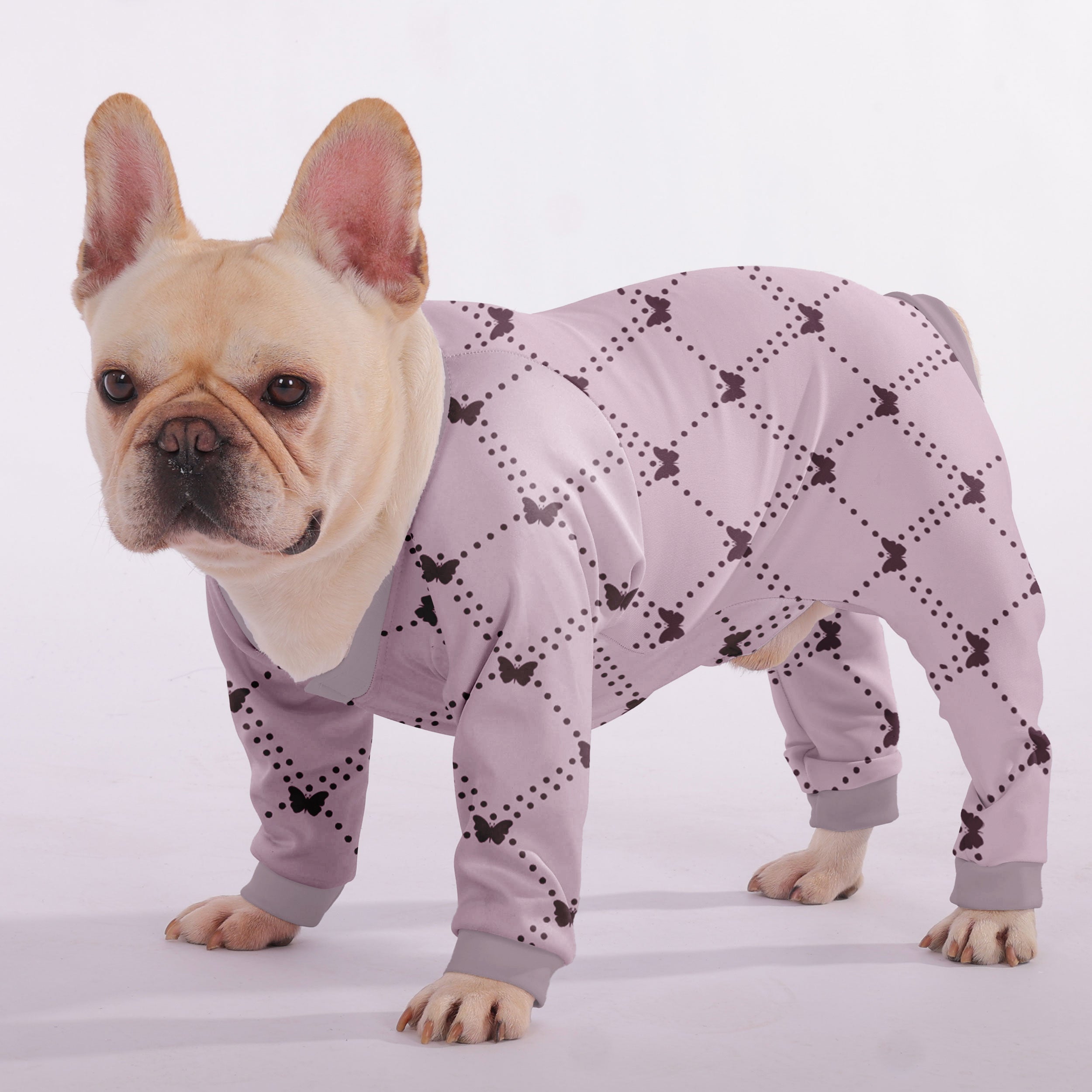 Minimal-Aesthetic Premium Quinn - Frenchie Pajama for Pet Enthusiasts