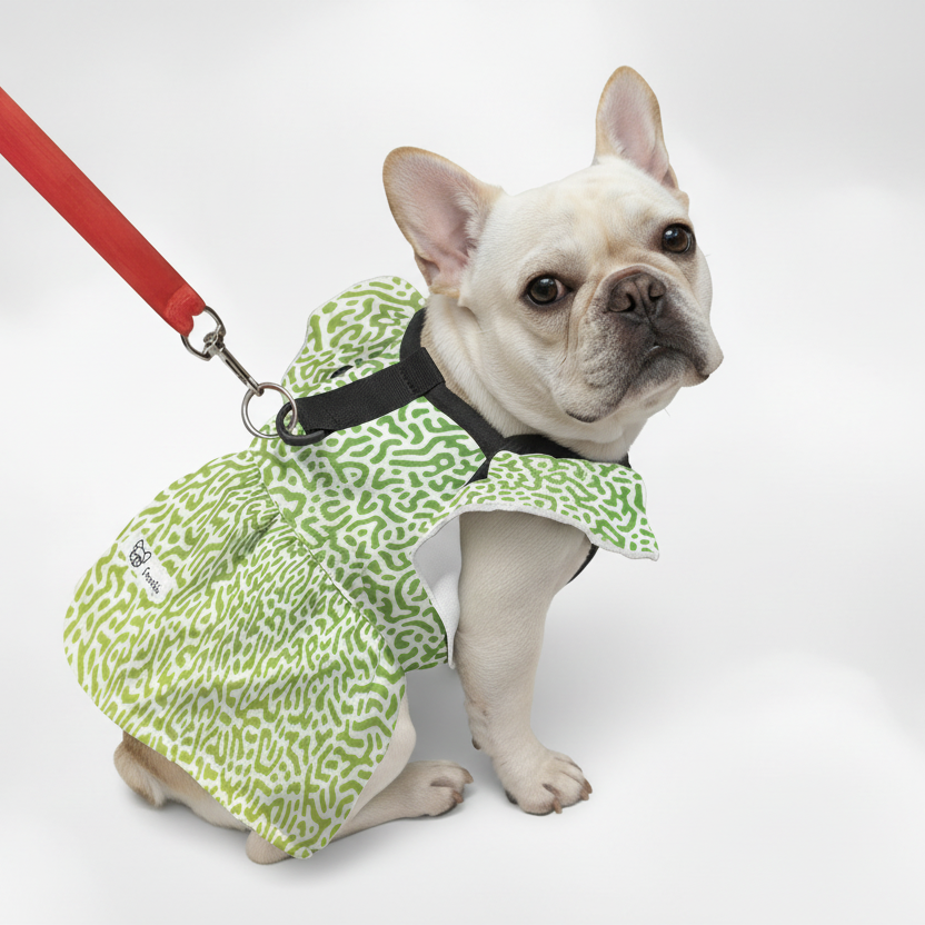 Opal - French Bulldog Dresses for Females
