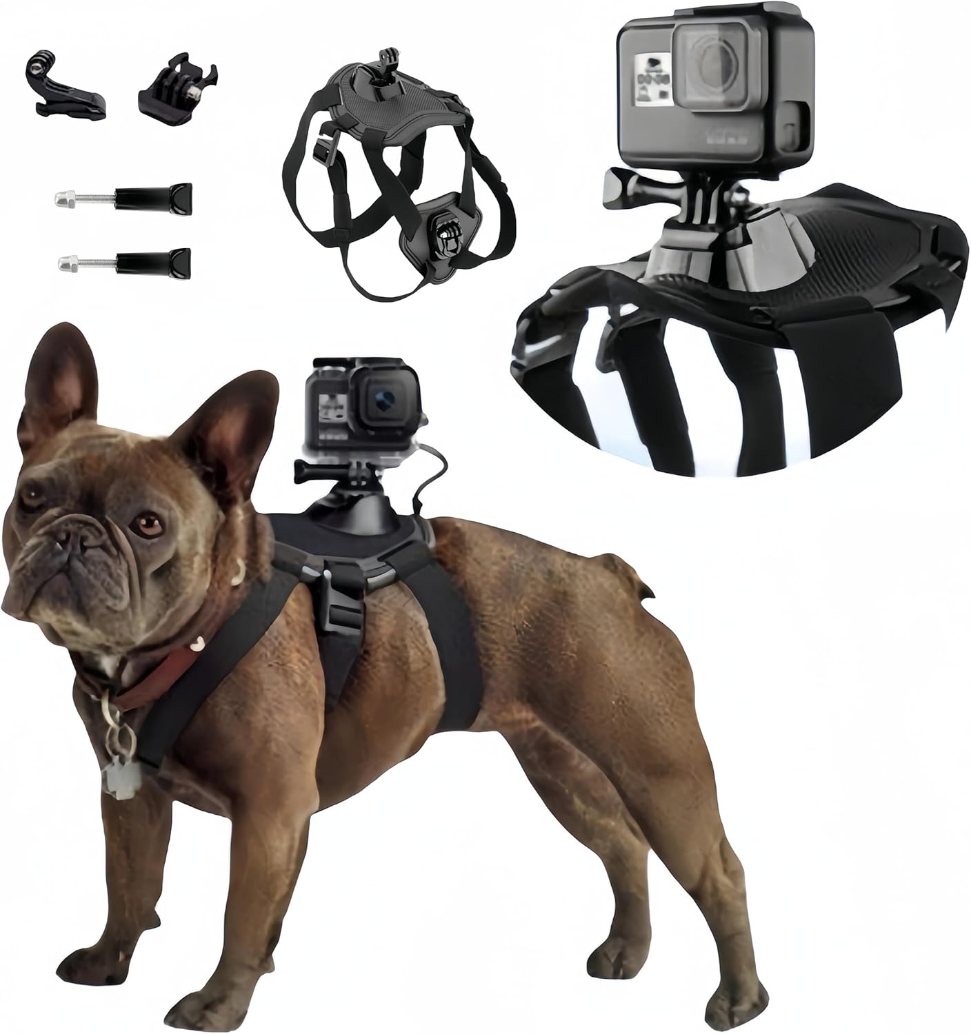 French Bulldog Adjustable French Bulldog Gopro Harness Secure Camera