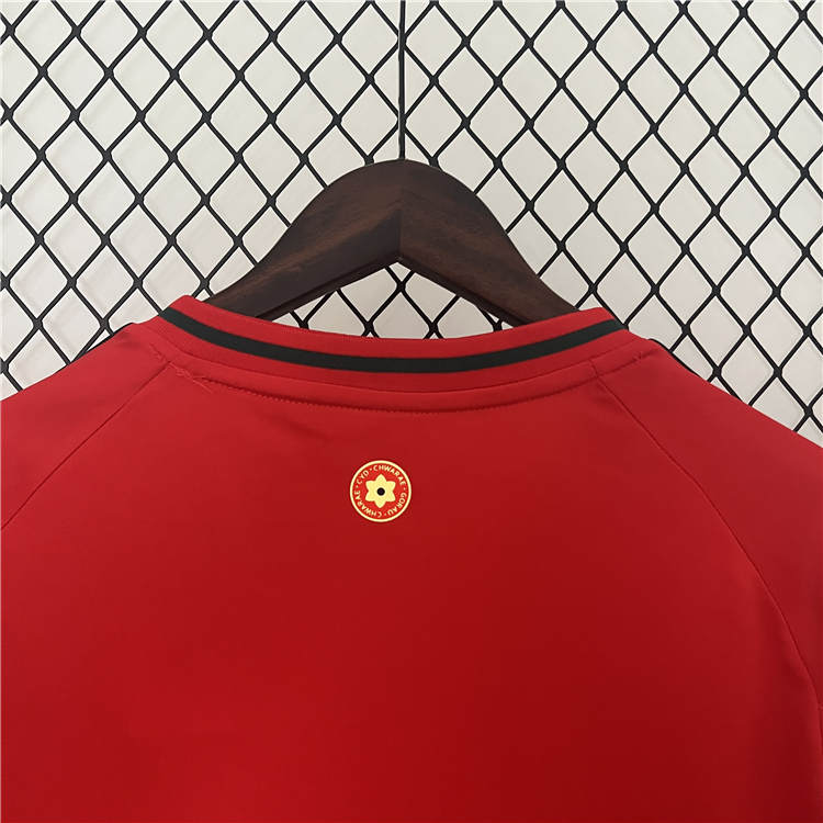 Performance Driven UEFA Euro 2024 Wales Football Shirt Home Soccer