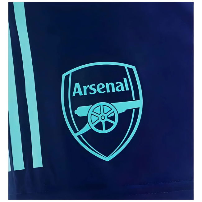 Arsenal 2024-20 Training Football Kit L S_949