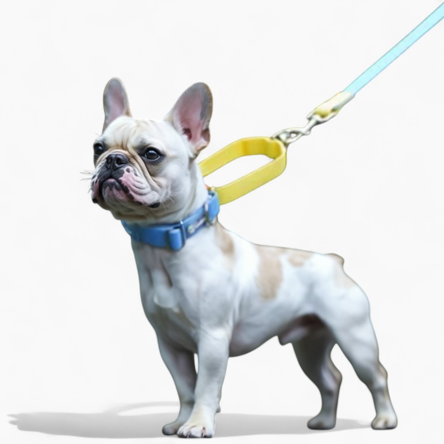 French Bulldog Wetwag French Bulldog Waterproof Collar And Leash Set Practical Dog Gear