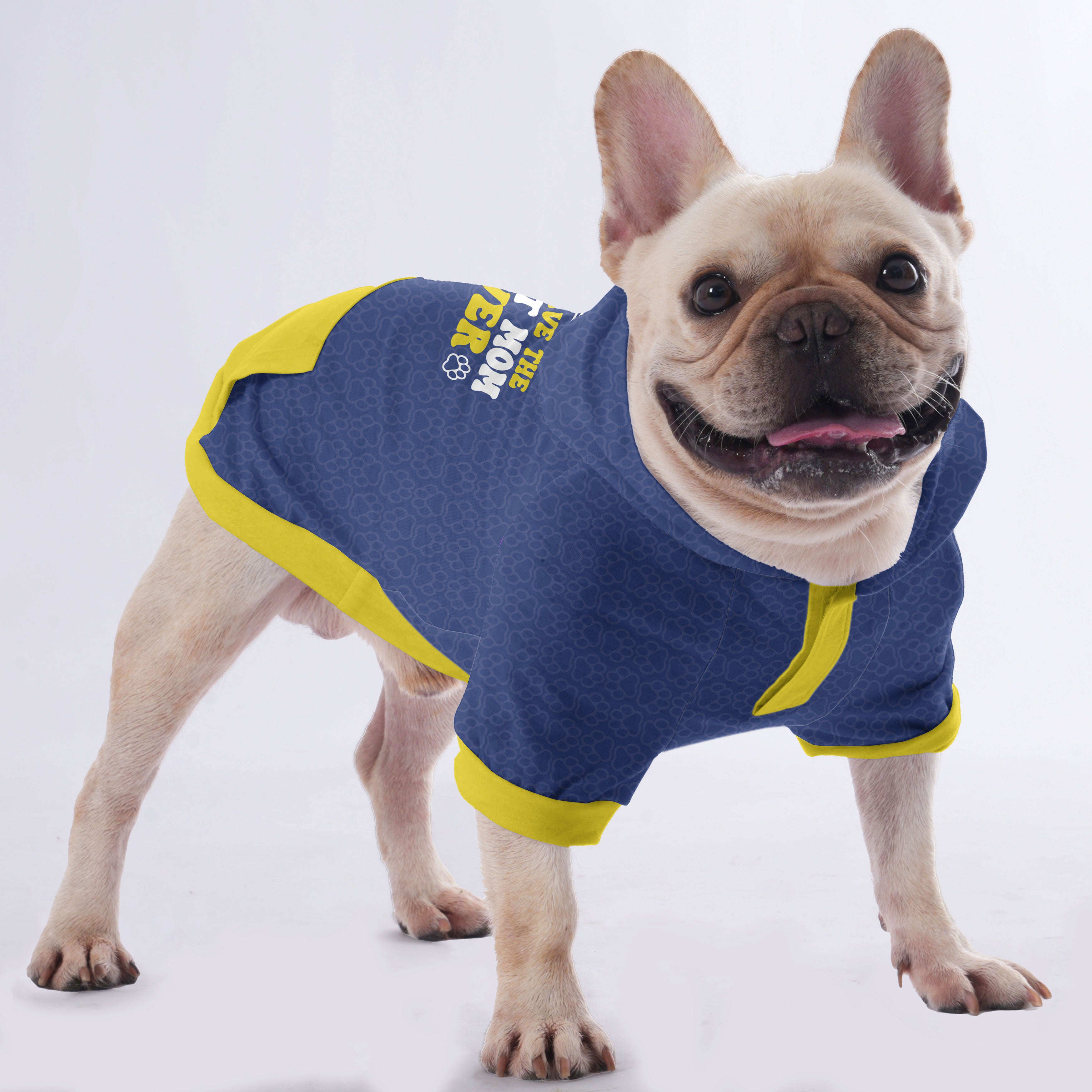 Everyday I Have The Best Mom Ever - Hoodies For French Bulldog | Fren...