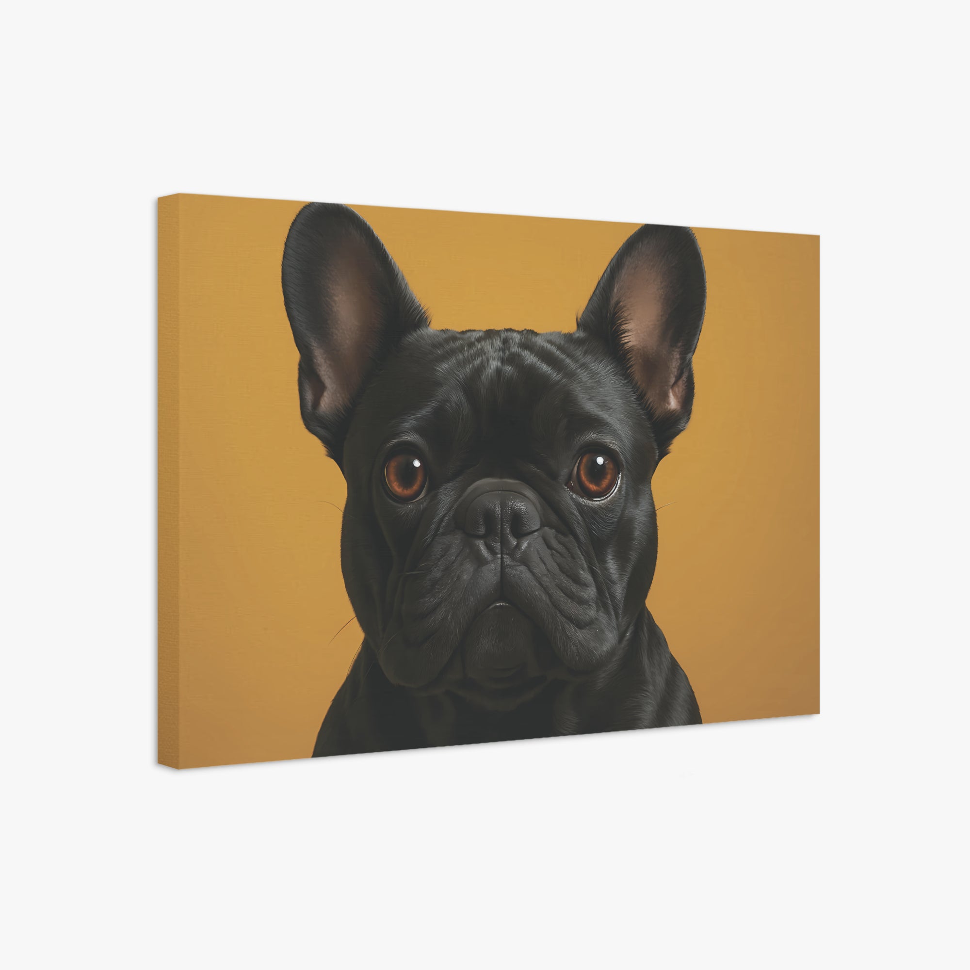 Gladys - Adorable Frenchie canvas Wall Art