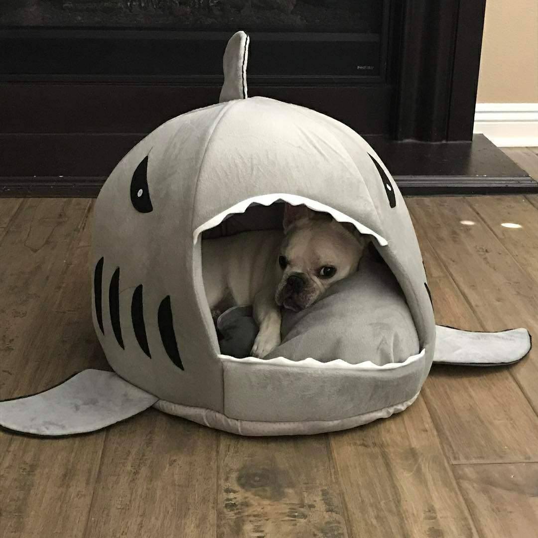 Bulldog For Frenchie (shark Bed) (ws14) Outdoor Use | Safe For Paws