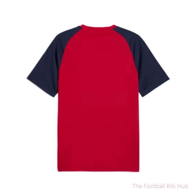 2026-2027 Czech Republic Warm Up Jersey (Dark Cherry) (Your Name)