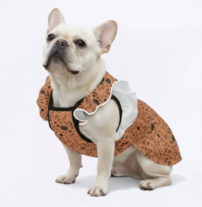 Trendy Halloween - French Bulldog Dresses For Females for Street Style