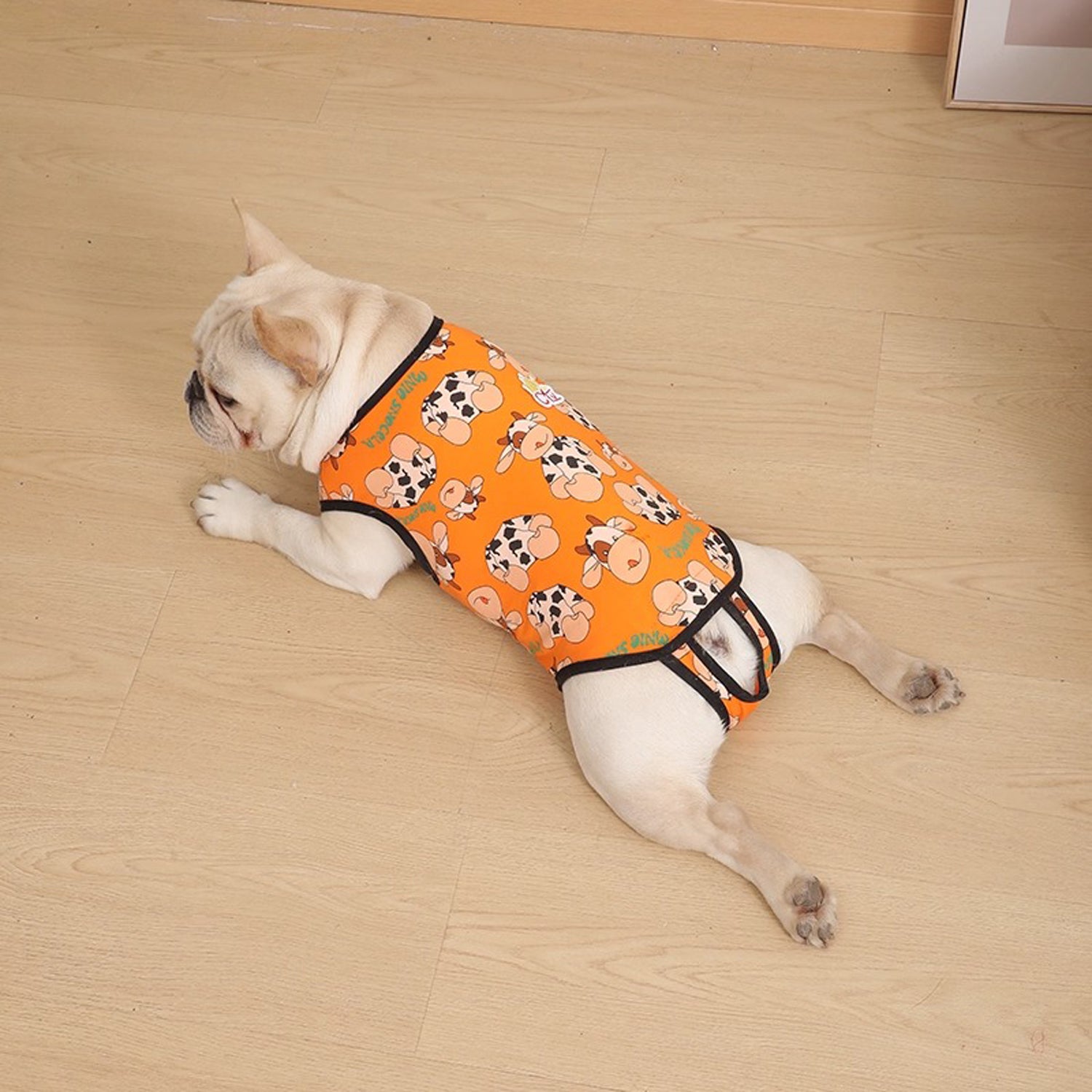 PawJoy French Bulldog Physiological Pants – Cute Comfy Cotton Pants