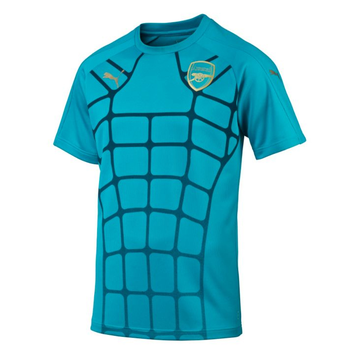 Official Arsenal Training Jersey - Puma premium-grade 15/16