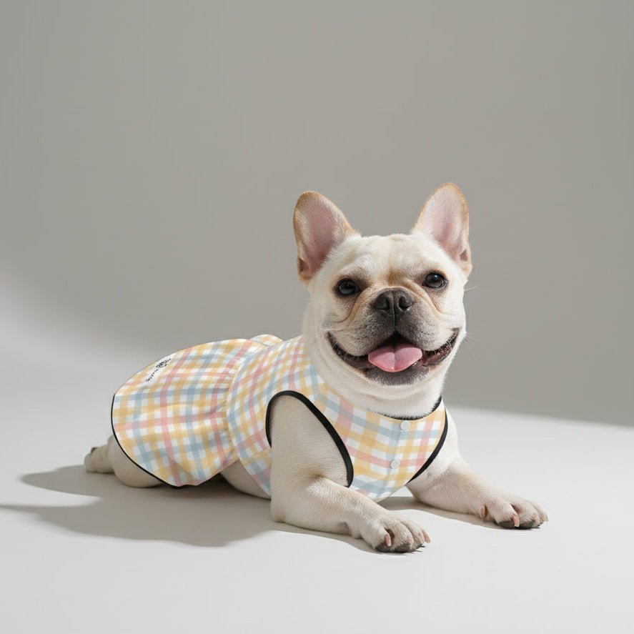 Pet-Lover Bubble - French Bulldog Dresses For Females for Everyday Wear