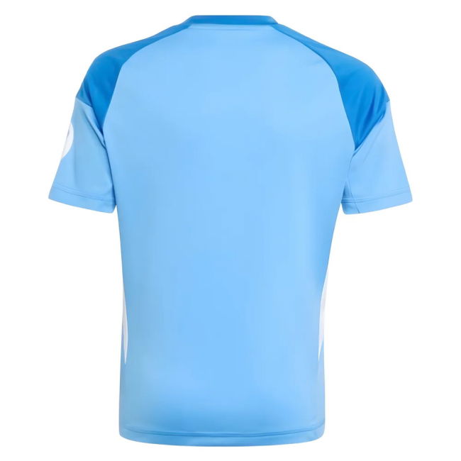 High Quality 2025-2026 Real Madrid Home With Classic Design