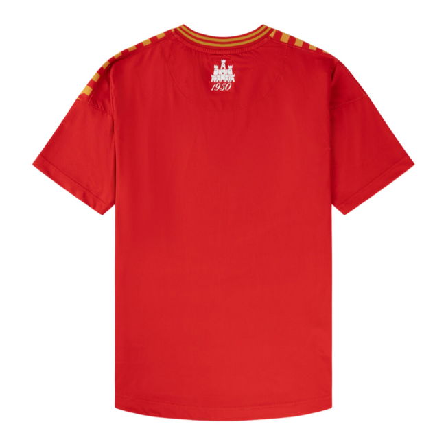 Premium 2025-2026 National Team Home With Vintage Design - Champions