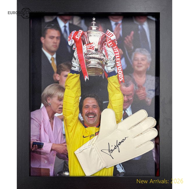 Arsenal FC Seaman Signed Glove (Framed)