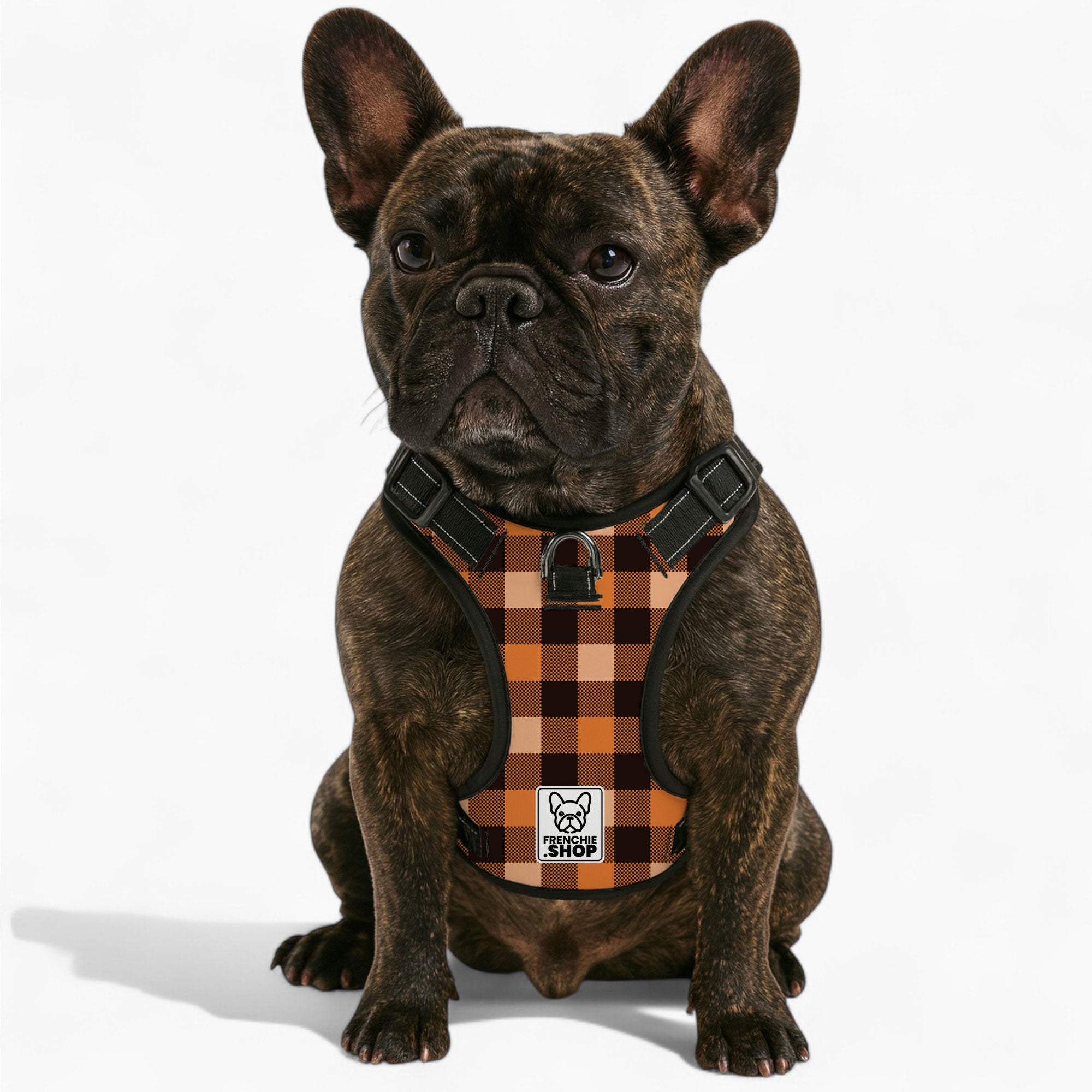 Julie - No-Pull French Bulldog Dog Harness
