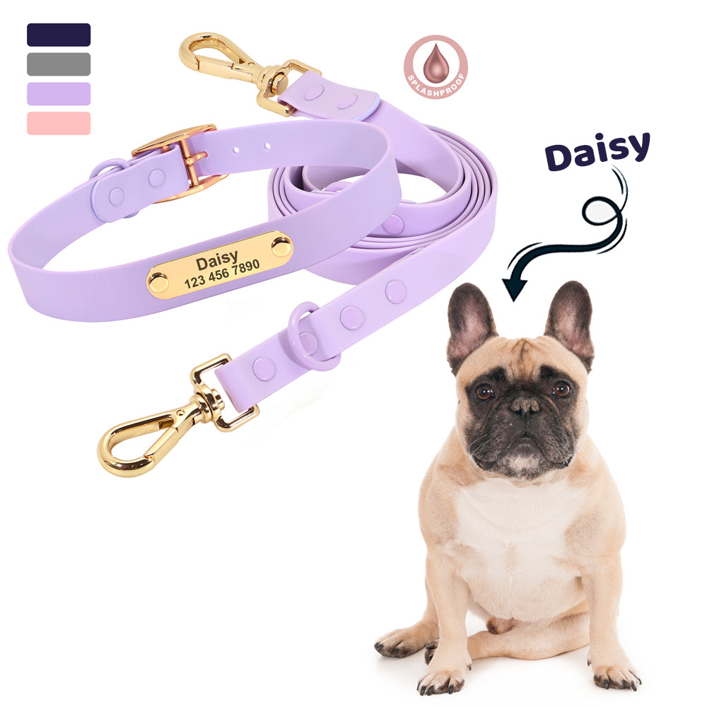 Bulldog Collar Leash Set (wj72) For French Bulldogs | Safe For Paws