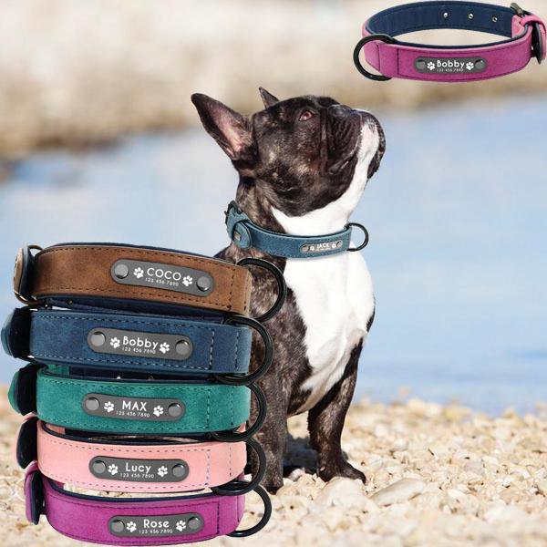 Secure-Fit Personalized French Bulldog Collar for Outdoor Use