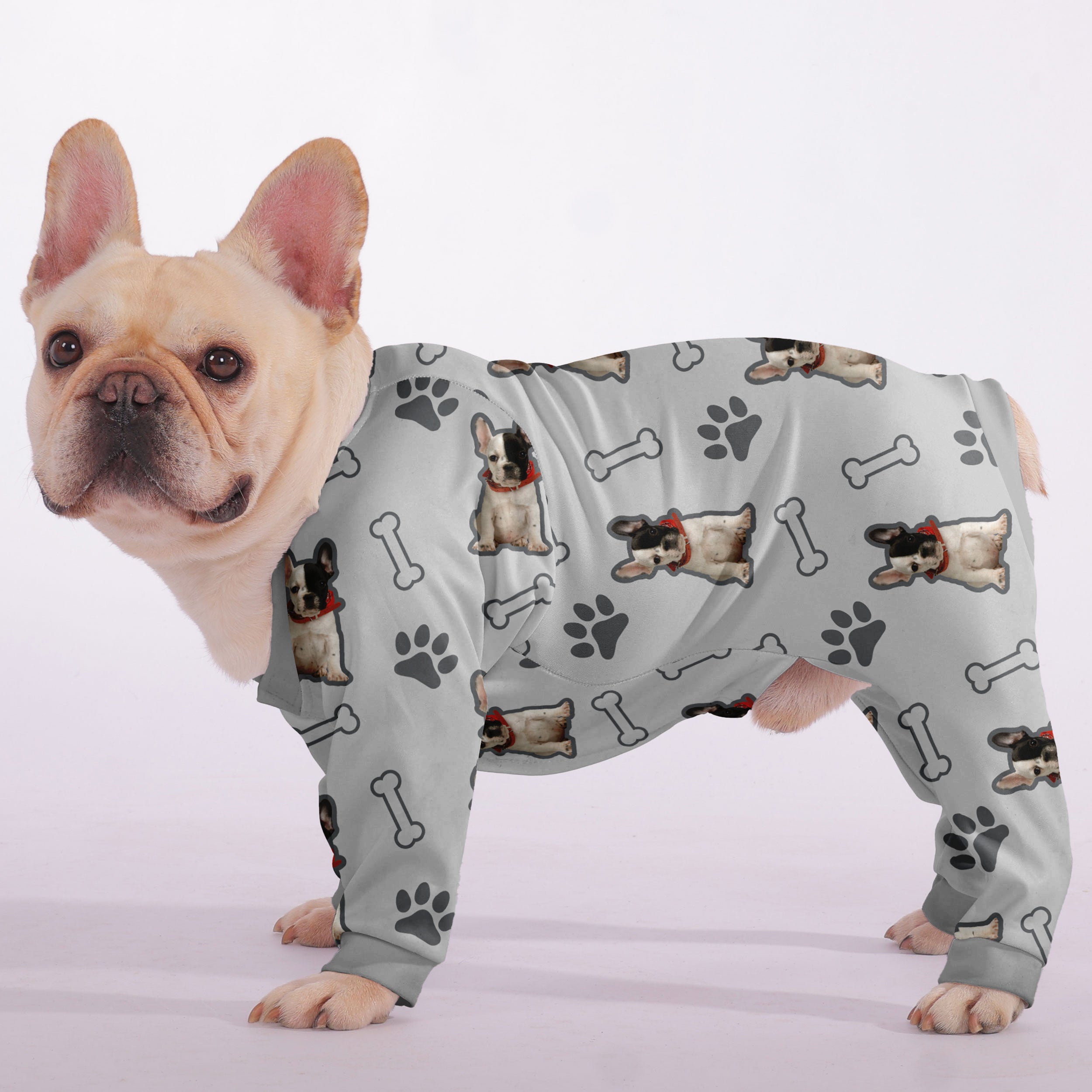 Cozy High-Quality Enzo - Frenchie Pajama for Pet Enthusiasts Premium