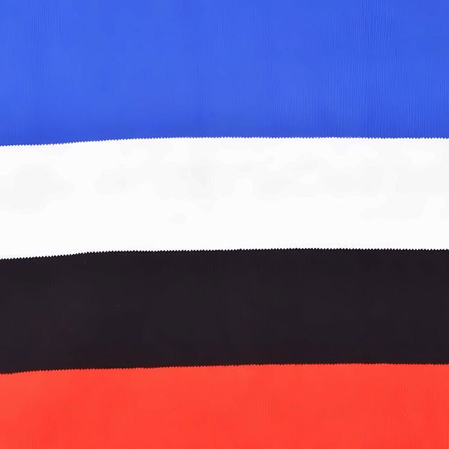 2025-2026 Nice Jersey - official uniform economical option v2.436