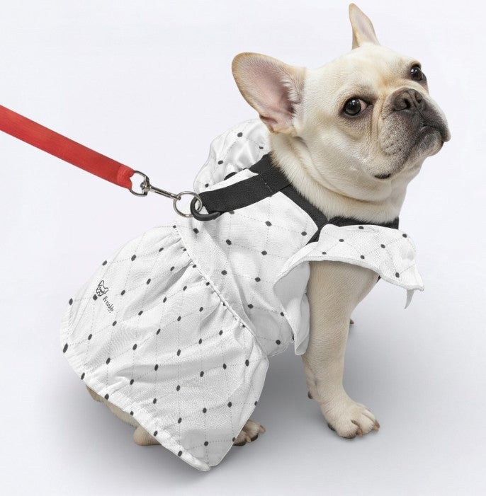 French Bulldog Biscuit French Bulldog Dresses For Females Durable Dog Item