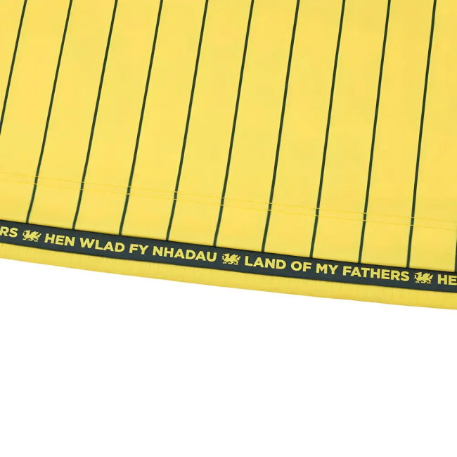 Premium-Grade Durable Stitching - 2025-2026 Away Vintage Adults #87561