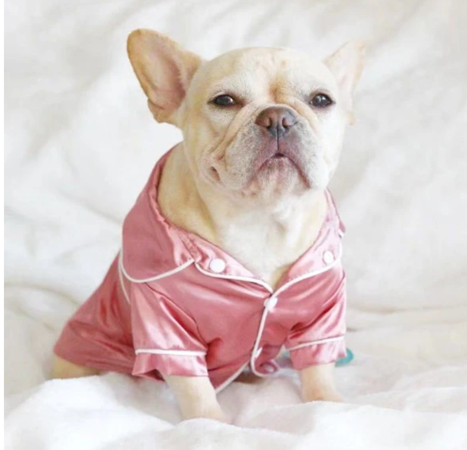 French Bulldog Silk Pajamas Shirt For Frenchies (ws105) Durable Dog Item