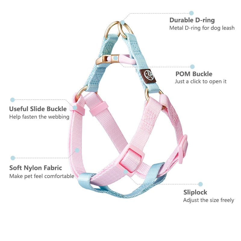 Indoor-Play Frenchie No Pull Harness Leash Set Combining Comfort With...